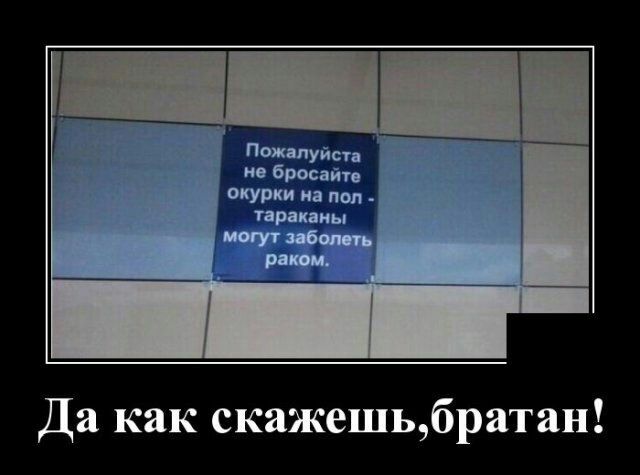 Да как скажешьбратан