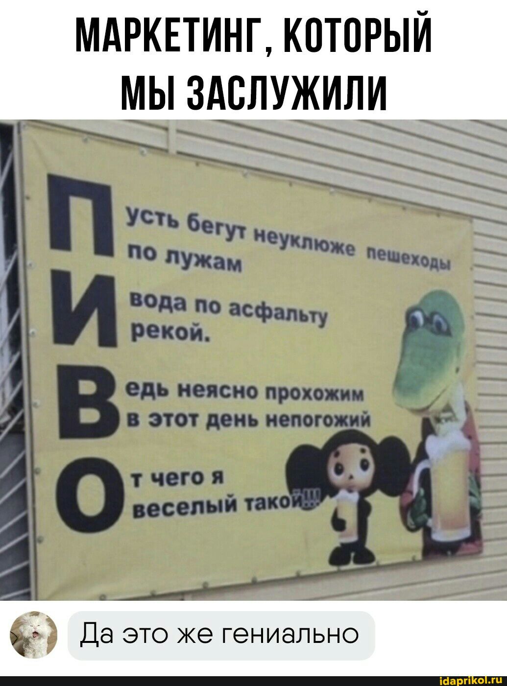 тчего я веселый тако