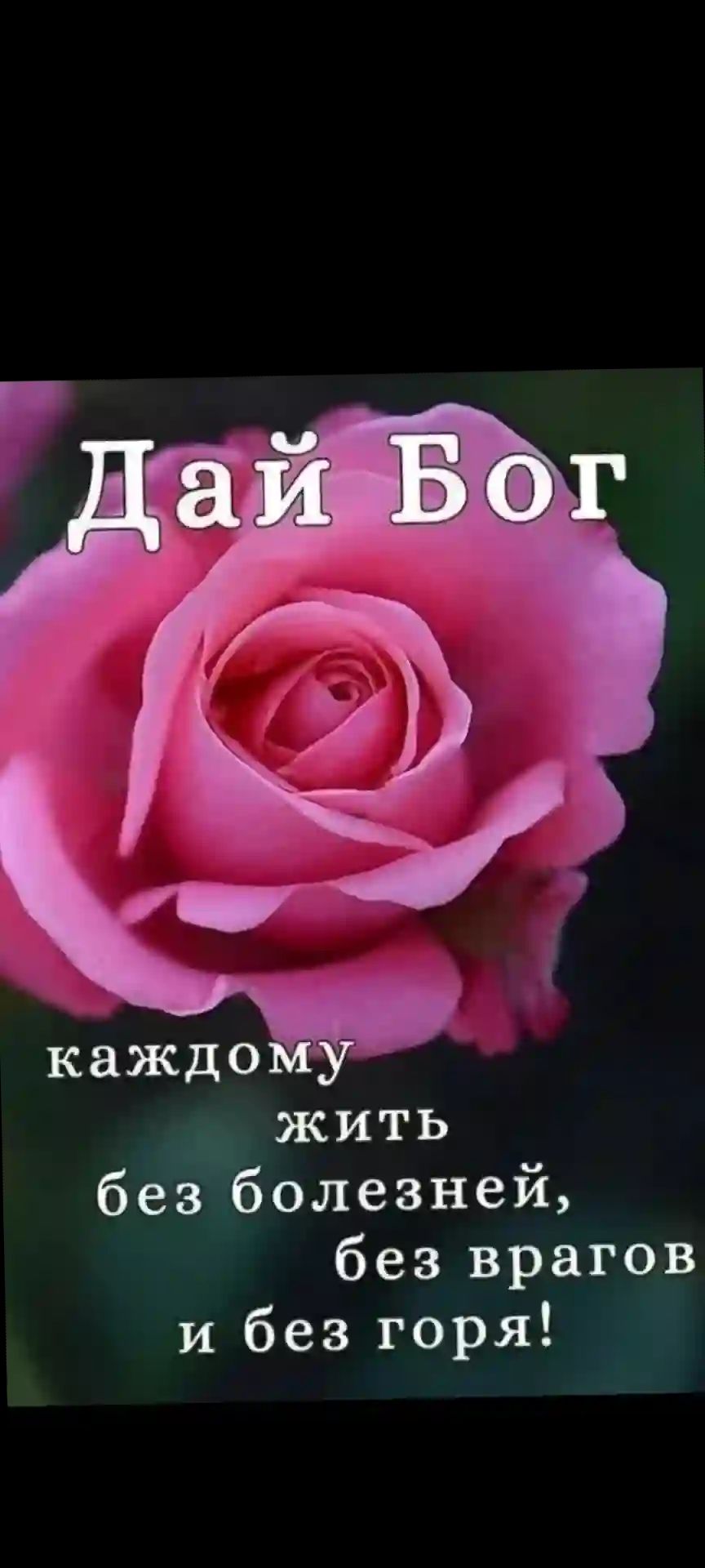 каждо у жить без олезней без врагов и без горя