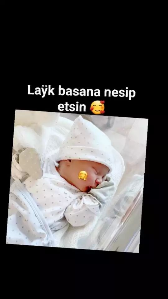 щук Ьазапа пезір етзіп