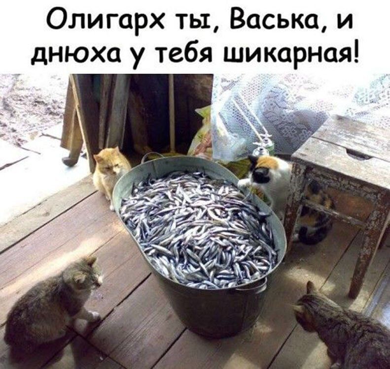 Олигарх ты Васька и днюха у тебя шикарная