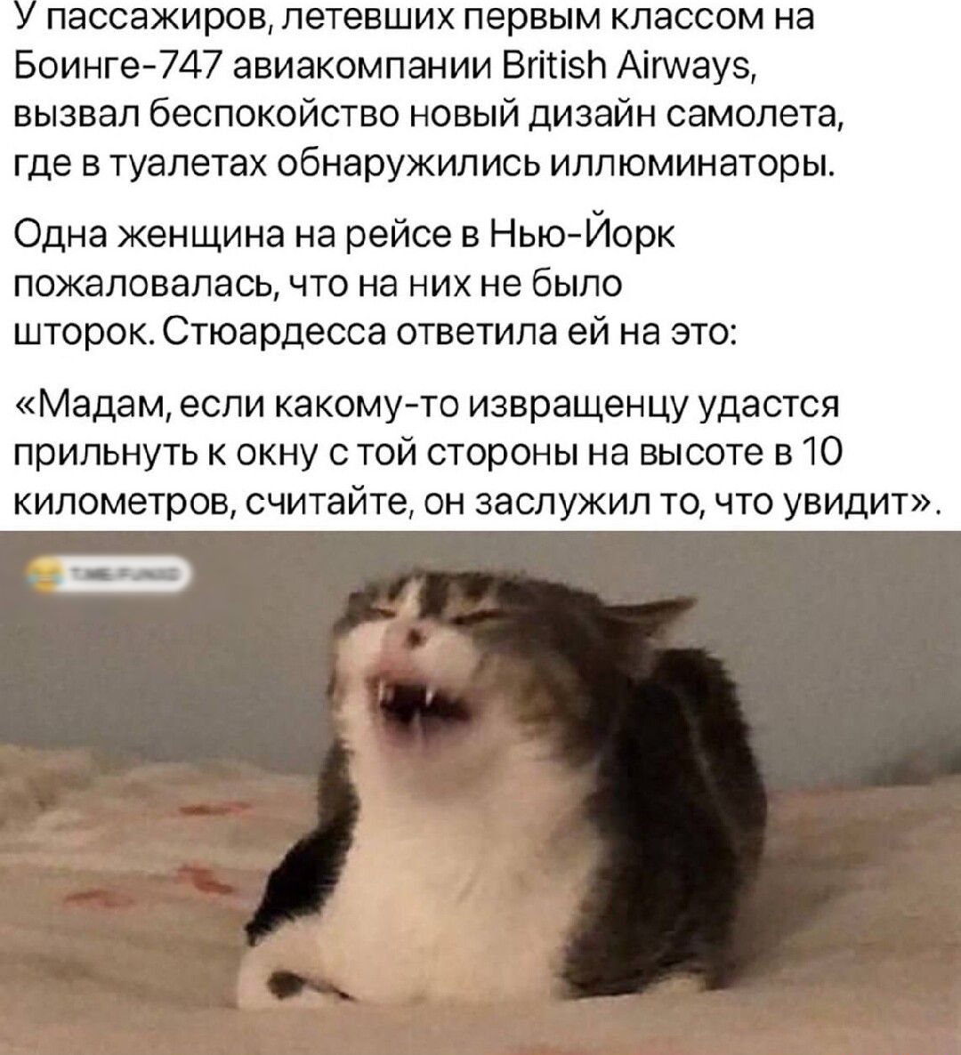 пассажировлетевших первым классом на Боинге747 авиакомпании Втіііэл Аімауэ вызвал беспокойство новый дизайн самолета где в туалетах обнаружились иллюминаторы Одна женщина на рейсе в Нью Йорк ПОЖЕЛПВЗПЗСЬ ЧТО на НИХ НЭ бЫПО шторок Стюардесса ответила ей на это Мадам если какому то извращенцу удастся прильнуть к окну той стороны на высоте 810 километров считайте он заслужил то что увидит