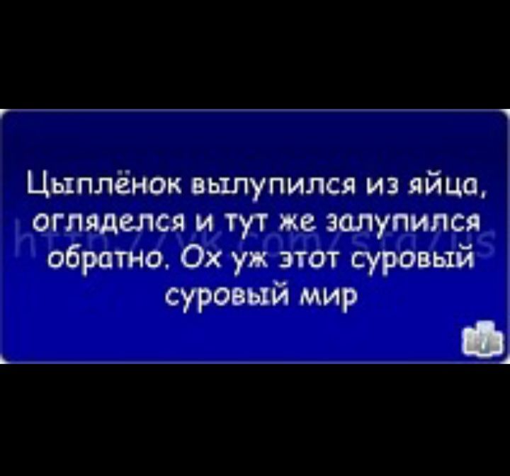 Цыплёнок вылупился из яйца огляделся и тут же золупипся обратно Ох уж этот суровый суровый мир Ц