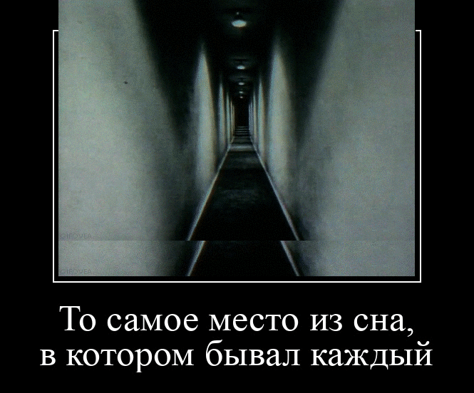 то самое место ИЗ сна В КОТОРОМ бывал каждый