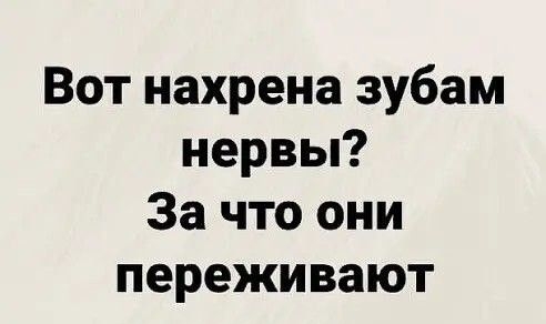 Вот нахрена зубам нервы За что они переживают