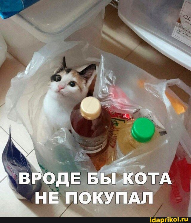 11 _ Ё д _Ё тА нЕ памркжпдл ЭАЧЁ_