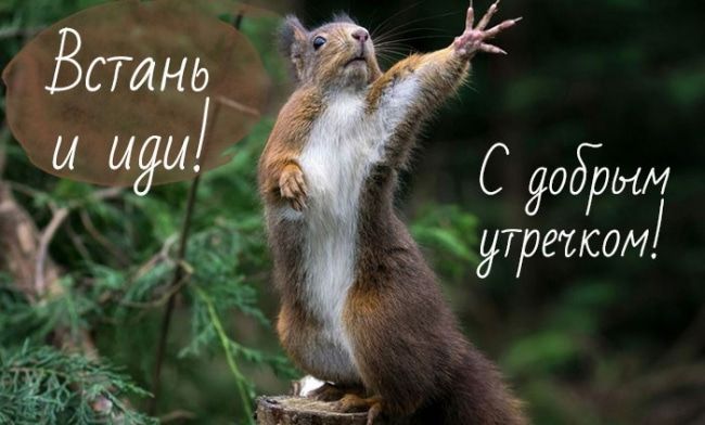 С 906 утра5547