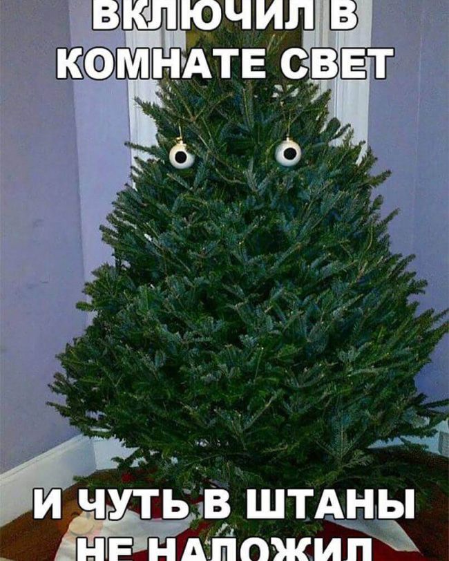 Ч Ьів ШТАНЬ Айпжй
