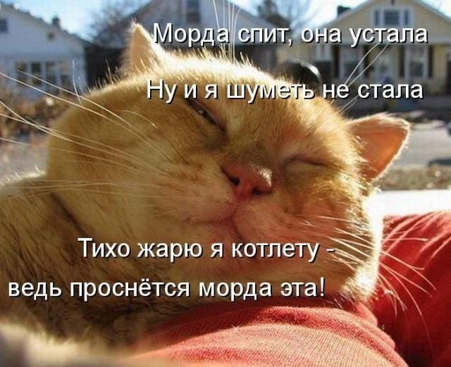 З орд спит а устала