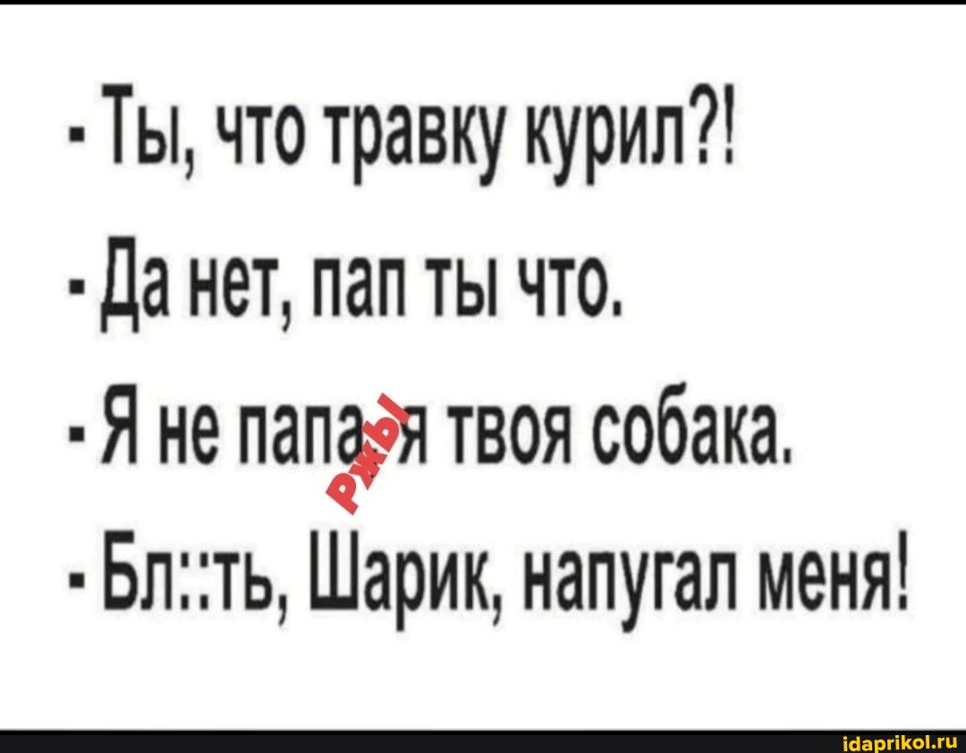 Ты что травку курил да нет пап ты что Я не панддя твоя собака Бпть Шарик напугал меня