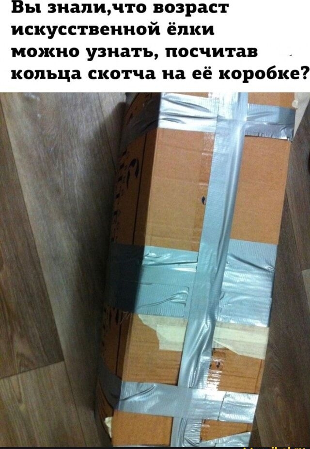 ы зиапичто возраст искусственной ёлки можно узнать посчитав кольца скотча на её коробке вашікоыц