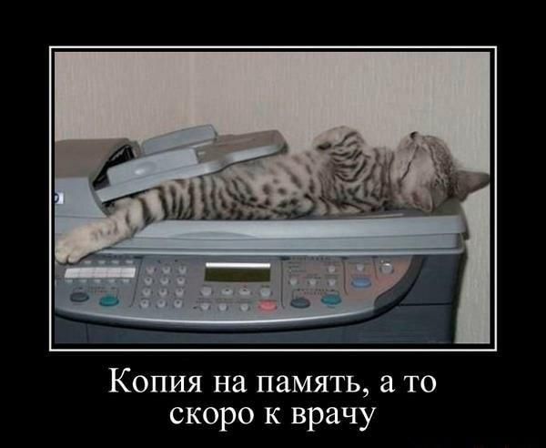 Копия на память 3 то скоро к врачу
