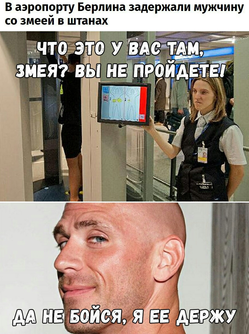 В аэропорту Берлина задержали мужчину СО змеей В штанах ЧТО 3130 У ВАСТАМд змея вёдГнвдпроущвтё і У 1 д 7 кт _ Ё 3 в _ Е не БЁЙЪЯ 3545 маржу
