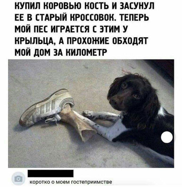 НУПИЛ НОРОВЬЮ НОЕТЬ И ЗАСУНУЛ ЕЕ В СТАРЫЙ НРОСЕОВОН ТЕПЕРЬ МОЙ ПЕС ИГРАЕТЕЯ С ЭТИМ У НРЫЛЬЦА А ПРОХОЖИЕ ОБХОДЯТ МОЙ дОМ ЗА НИЛОМЕТР КОРОТКО 0 МОЕМ ГОСТеПрИИМСТЕЕ