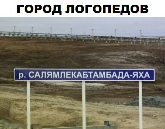 ГОРОД ПОГОПЕДОВ