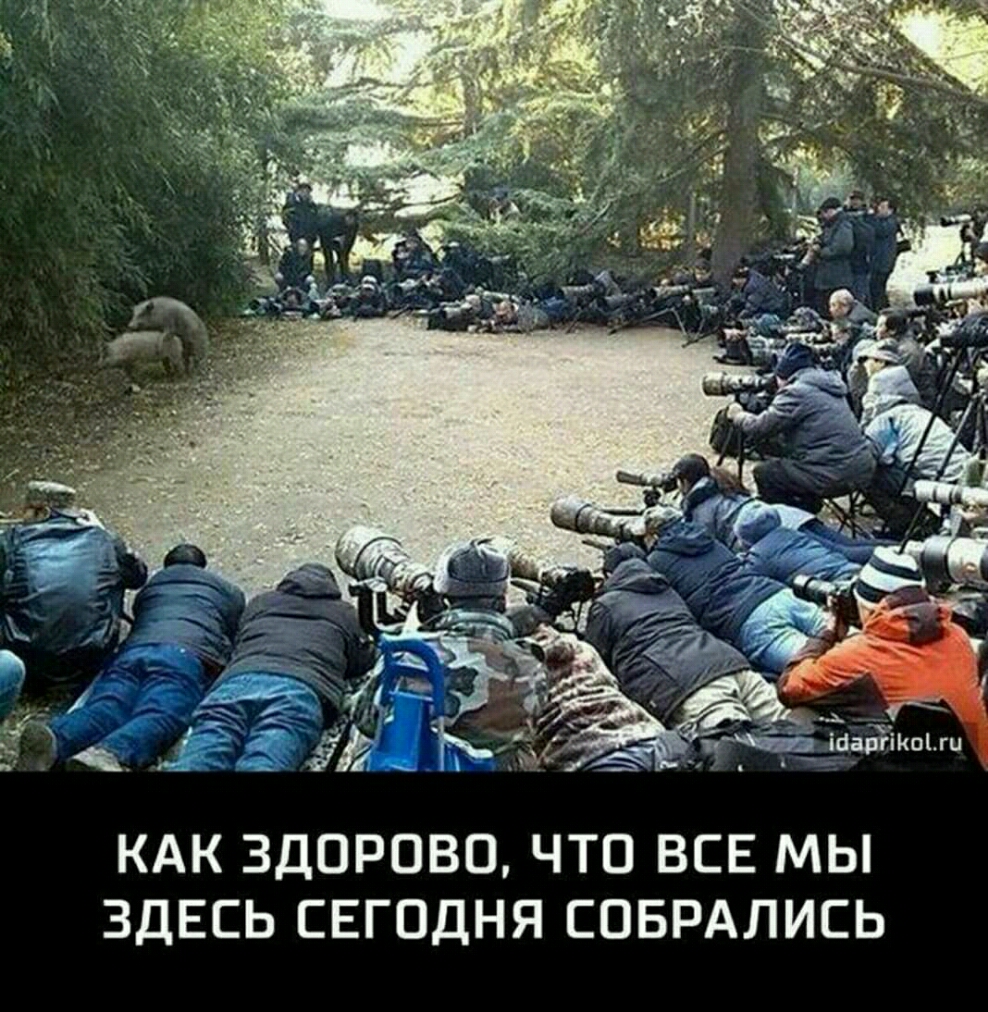 КАК ЗДОРОВЦ ЧТО ВСЕ МЫ ЗДЕСЬ СЕГОДНЯ СОБРАЛИСЬ