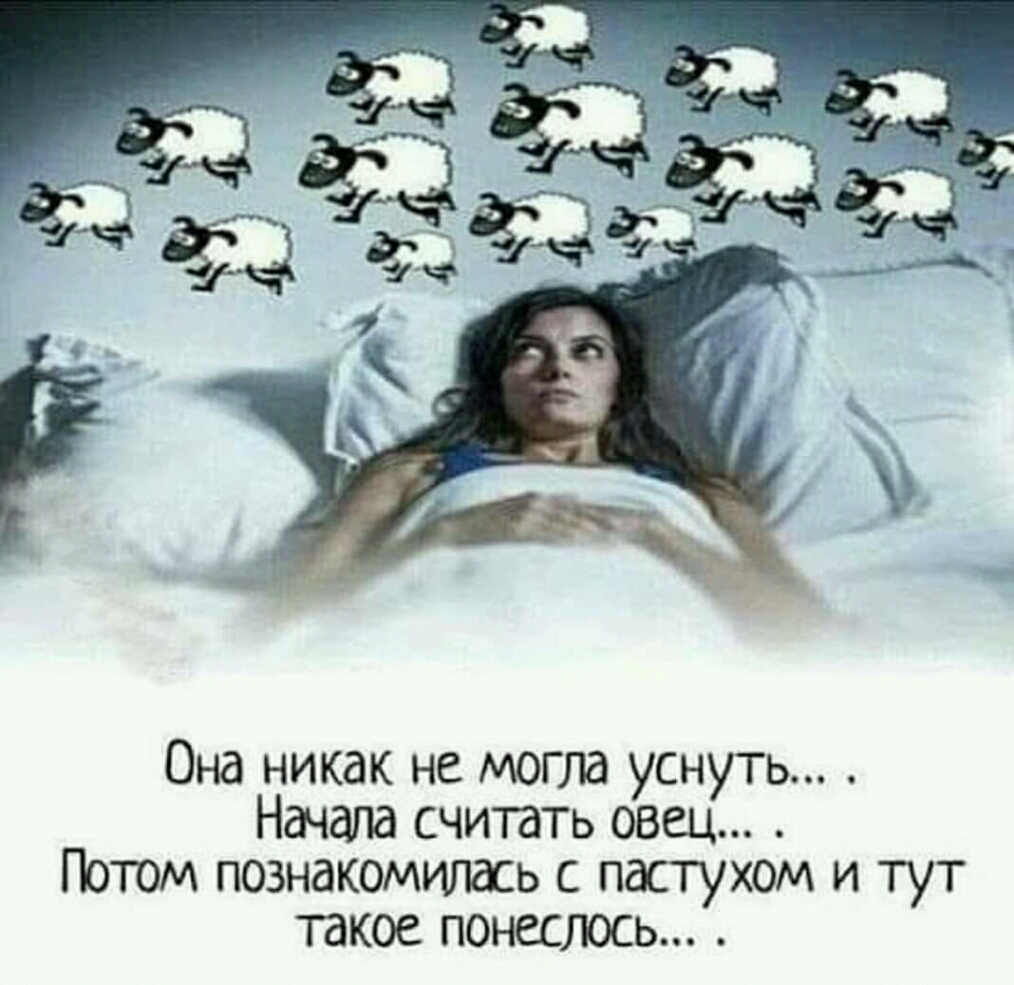 Она никак не могла уснуть Начала считать овец Потом познакомттась с пастухом и тут такое понеслось