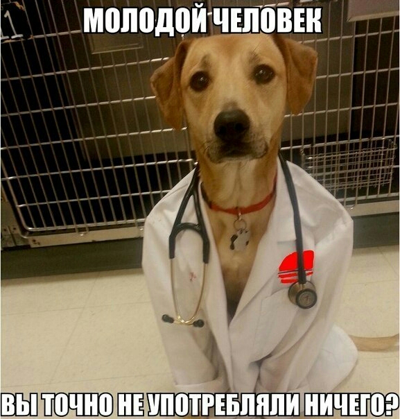 _моподойчшбіііі на ______ а Мипошгшп