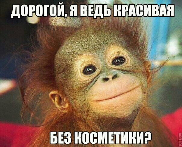 50 до из наемники