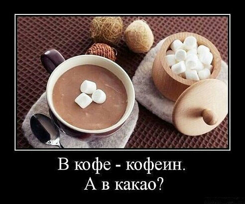кофеин В кофе А в какао