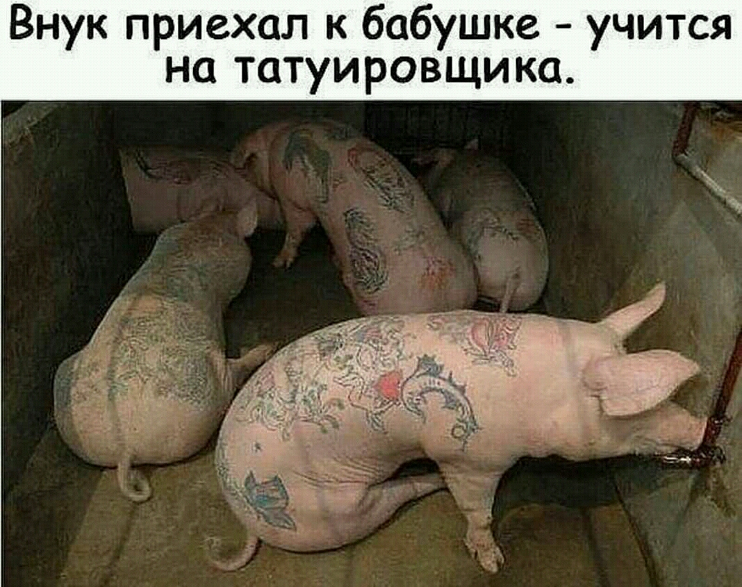 Внук приехал к бабушке учится на татуировщика