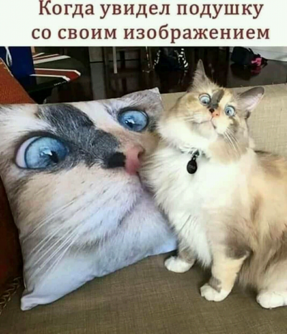 Когда увидел подушку со своим изображением
