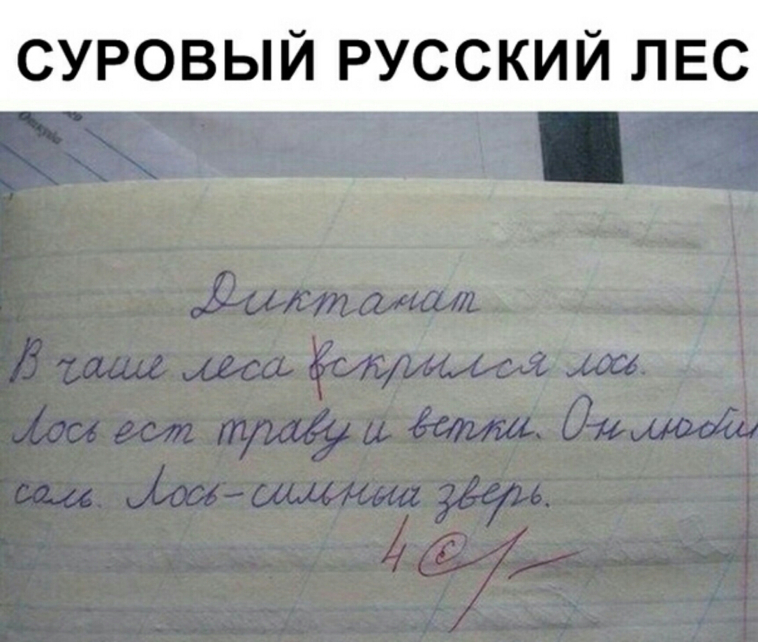 СУРОВЫЙ РУССКИЙ ЛЕС