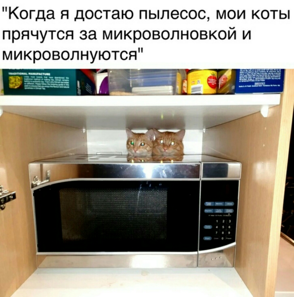 Когда я достаю пылесос мои коты прячутся за микроволновкой и микроволнуются ____
