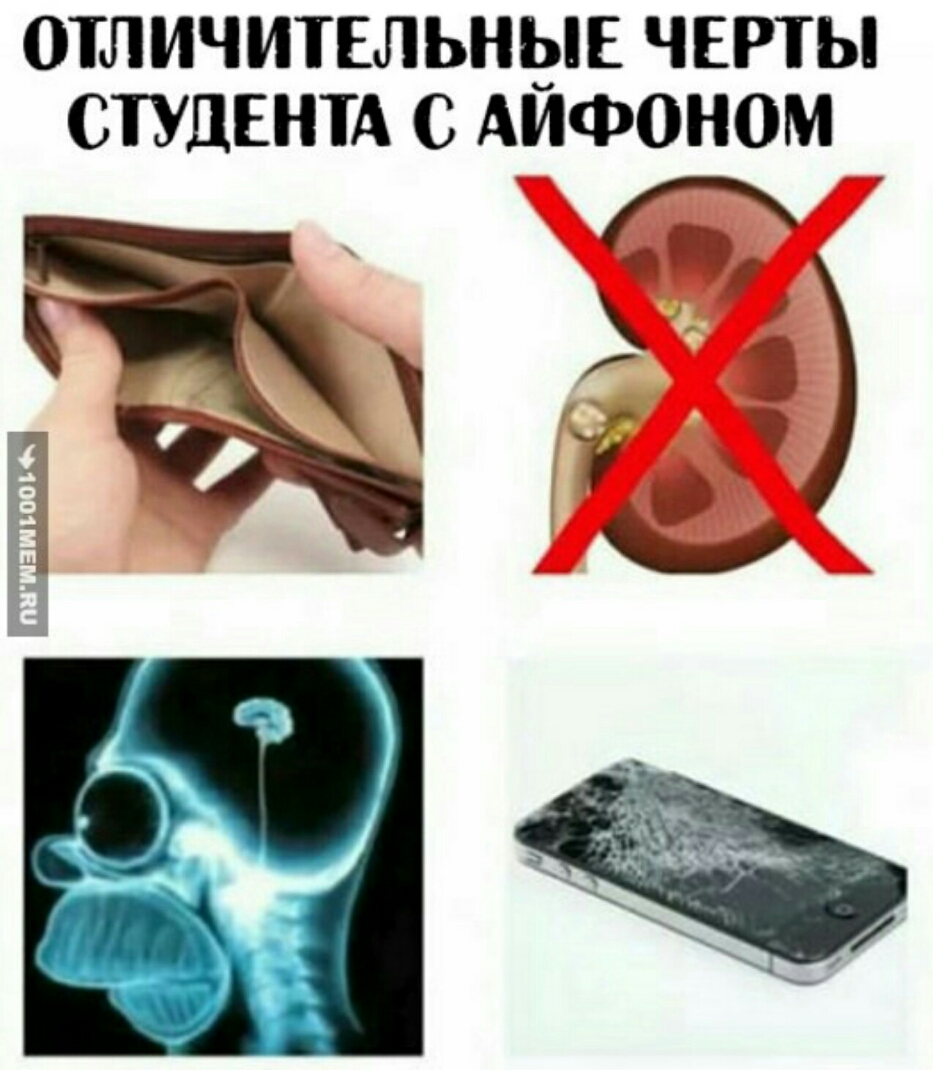 ОТЛИЧИТЕЛЬНЫЕ ЧЕРТЫ СТУДЕНТА С АИФОНОМ