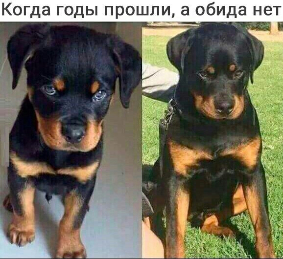 Когда годы прошли а обида нет