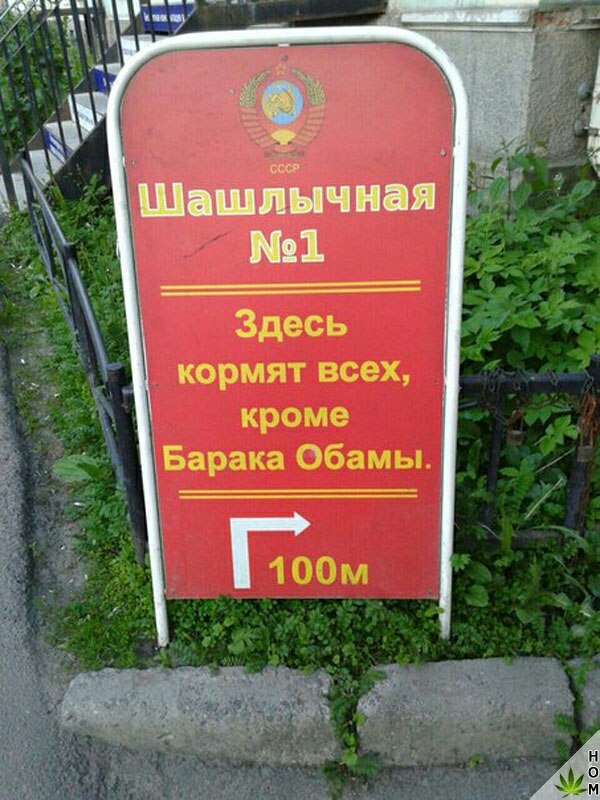 1 Здесь кормят всех кроме Барака Обамы 100м