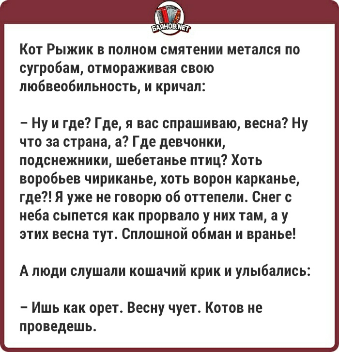 Кот Рыжик в полном смятении метался по сугробам отмораживая свою любвеобильность и кричал Ну и где Где я вас спрашиваю весна Ну что за страна а Где девчонки подснежники ше6етанье птиц Хоть воробьев чириканье хоть ворон карканье где Я уже не говорю об оттепели Снег с неба сыпется как прорвало у них там а у этих весна тут Сплошной обман и вранье А люди слушали кошачий крик и улыбались Ишь как орет В