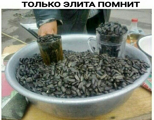 ТОЛЬКО ЭЛИТА ПОМНИТ 1