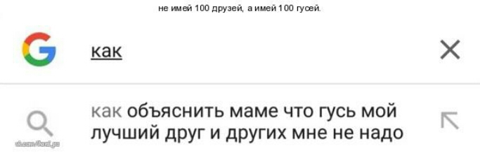 имя 100 друид имнй 1 по уши ещ Х как объяснить маме что гусь мой К лучший друг и других мне не надо