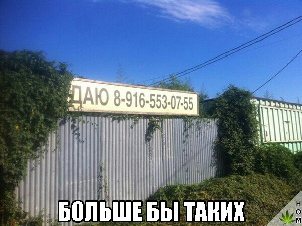 зііішііі
