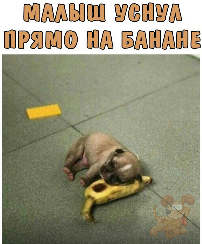БШШШБШЕШ ШСВШШШ ШЕРЁПБШСО ШШ БШШШШЁ