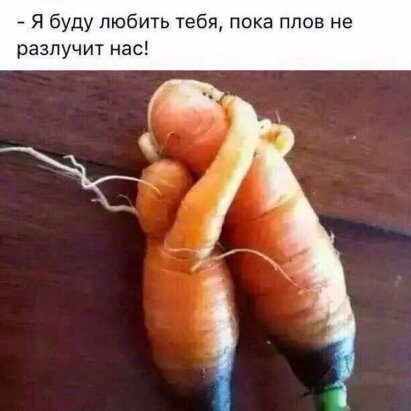 7 Я буду любить тебя пока пп разлучит нас