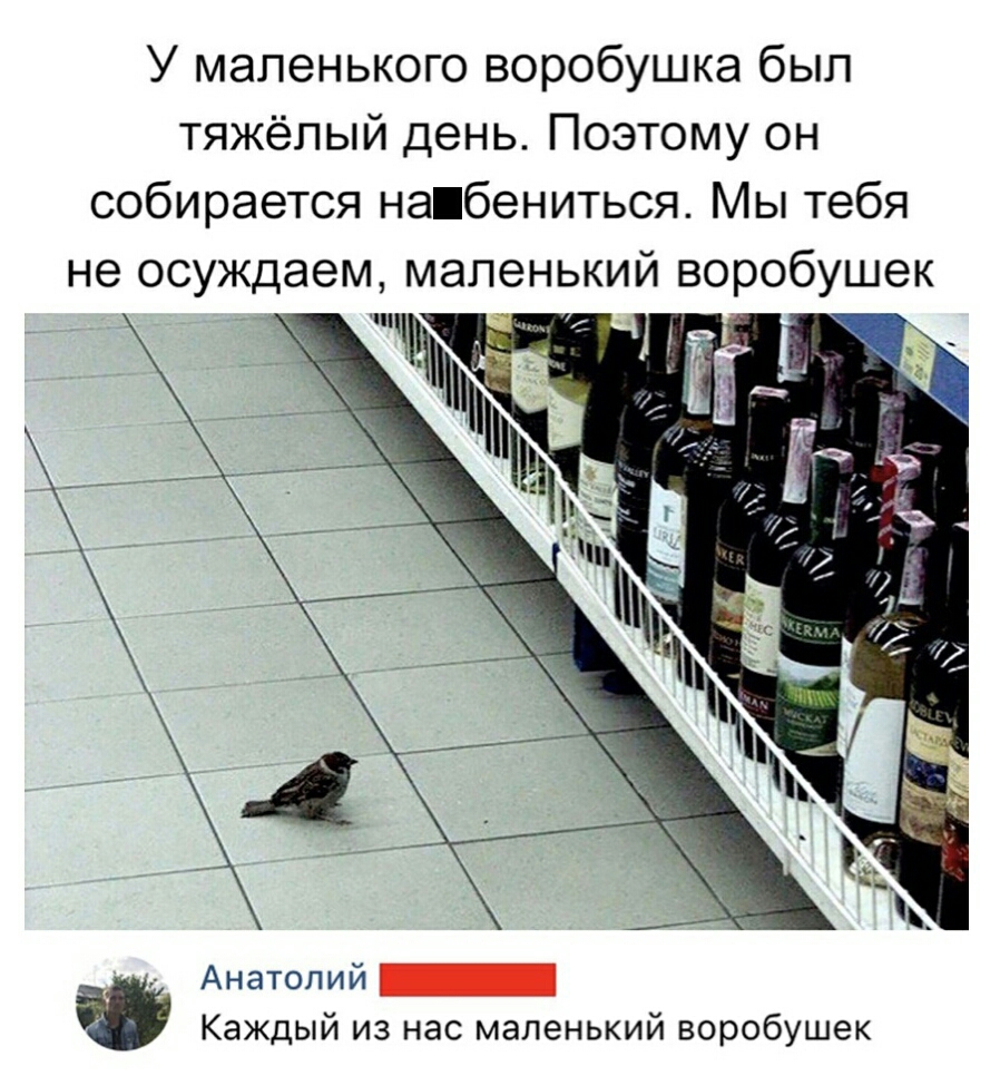 У маленького воробушка был тяжёлый день Поэтому он собирается напбениться Мы тебя не осуждаем маленький воробушек Ё_ Анатолий _ Каждый из нас маленький воробушек