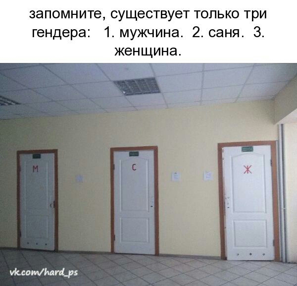 запомните СУЩВСТВУВТ ТОЛЬКО ТРИ гендера 1 мужчина 2 саня 3 женщина дитини