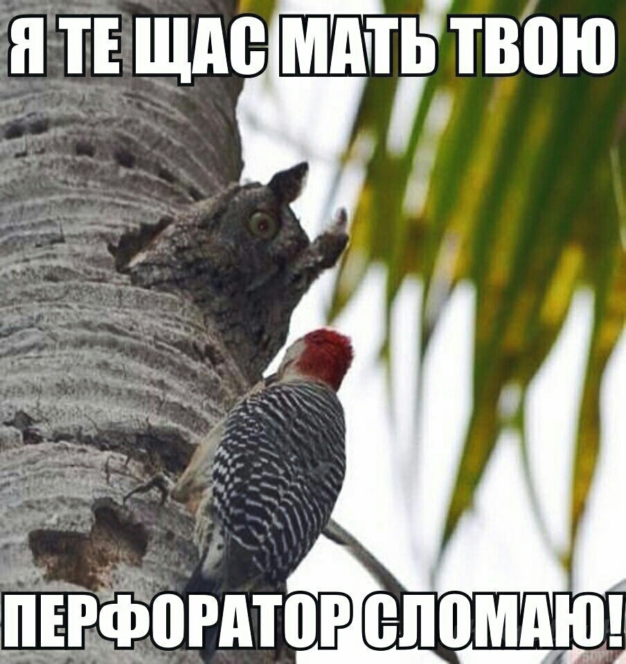 дні тг щие мдчтьтвою