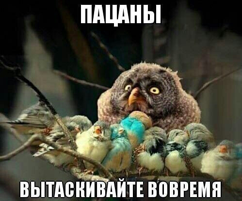 ПАШШЫ