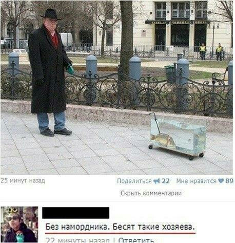 Без апордника весят такие хозяева _ Птпвтить