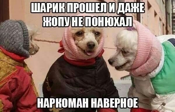 ддЖЕ Багапшаё _ _ ндннпмдн НАВЕРНВЬ