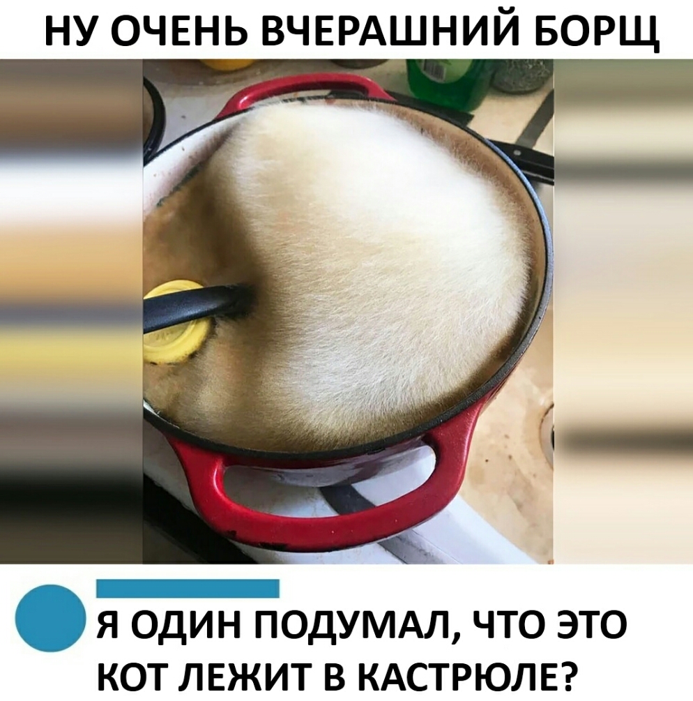 НУ ОЧЕНЬ ВЧЕРАШНИЙ БОРЩ _ Я ОДИН ПОДУМАЛ ЧТО ЭТО КОТ ЛЕЖИТ В КАСТРЮЛЕ