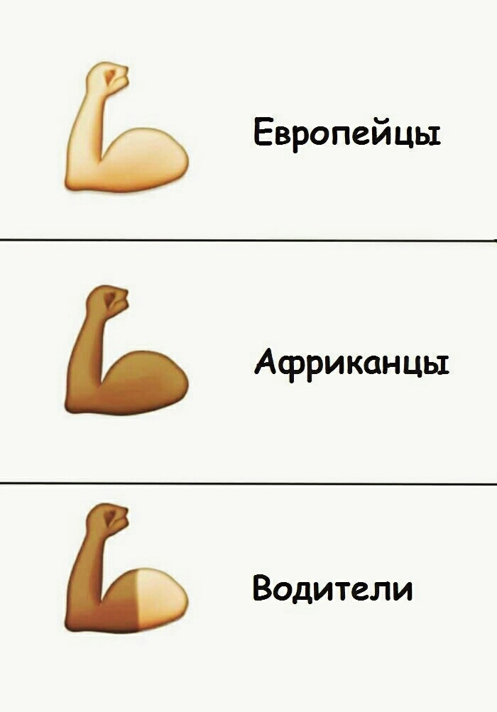 99559 Европейцы Африканцы Водители