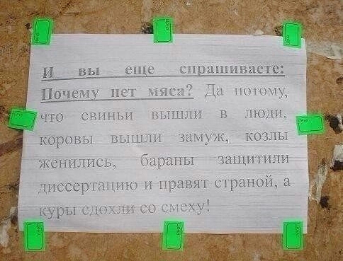 и вы еце спрашиваете Почему на мяса Да иному что свиньи вышли в под коровы ВЫШЛИ замук козлы жонились бараны чащитили диссертацию И щзавяг ст ран