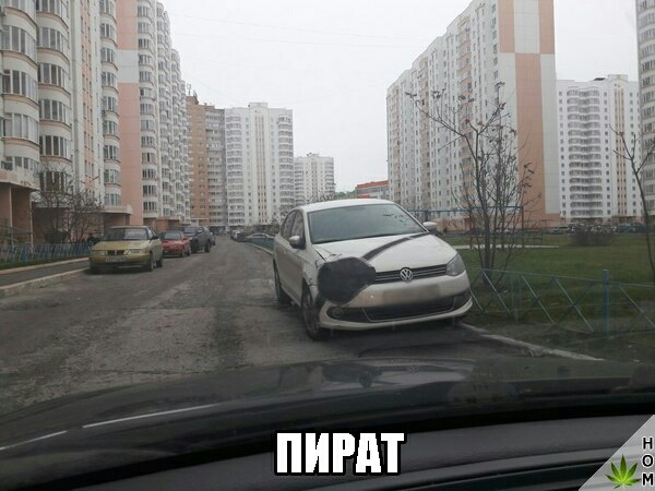 пигдт
