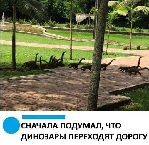 СНАЧАЛА ПОДУМАЛ ЧТО ДИНОЗАРЫ ПЕРЕХОДЯТ ДОРОГУ