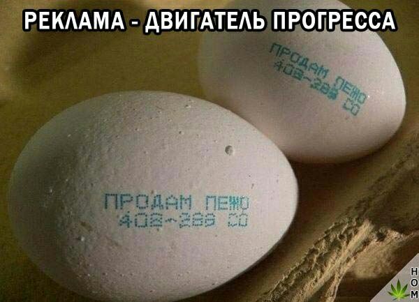 РЕКАМА двипдтЕАь ПРЕОГРЕССА 3