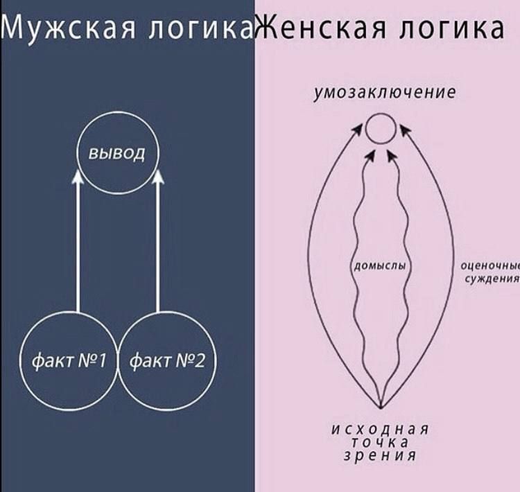 Мужская логика

Женская логика

вывод

умозаключение

факт №1

факт №2

домыслы

оценочные
суждения

исходная
точка зрения